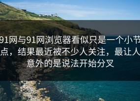 91网与91网浏览器看似只是一个小节点，结果最近被不少人关注，最让人意外的是说法开始分叉