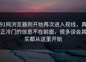 91网浏览器刚开始再次进入视线，真正冷门的信息不在前面，很多误会其实都从这里开始