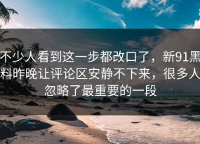 不少人看到这一步都改口了，新91黑料昨晚让评论区安静不下来，很多人忽略了最重要的一段