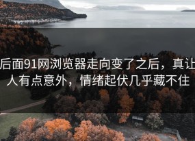 后面91网浏览器走向变了之后，真让人有点意外，情绪起伏几乎藏不住