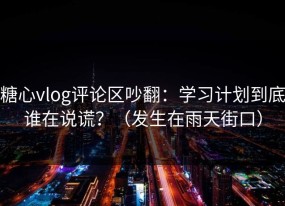 糖心vlog评论区吵翻：学习计划到底谁在说谎？（发生在雨天街口）