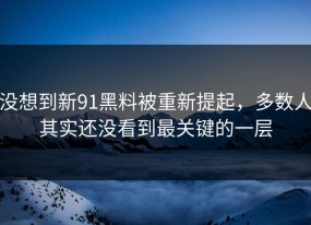 没想到新91黑料被重新提起，多数人其实还没看到最关键的一层