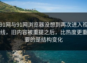 91网与91网浏览器没想到再次进入视线，旧内容被重提之后，比热度更重要的是结构变化