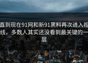 直到现在91网和新91黑料再次进入视线，多数人其实还没看到最关键的一层