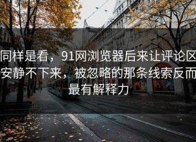 同样是看，91网浏览器后来让评论区安静不下来，被忽略的那条线索反而最有解释力