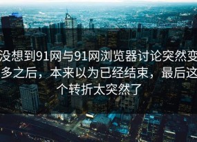 没想到91网与91网浏览器讨论突然变多之后，本来以为已经结束，最后这个转折太突然了