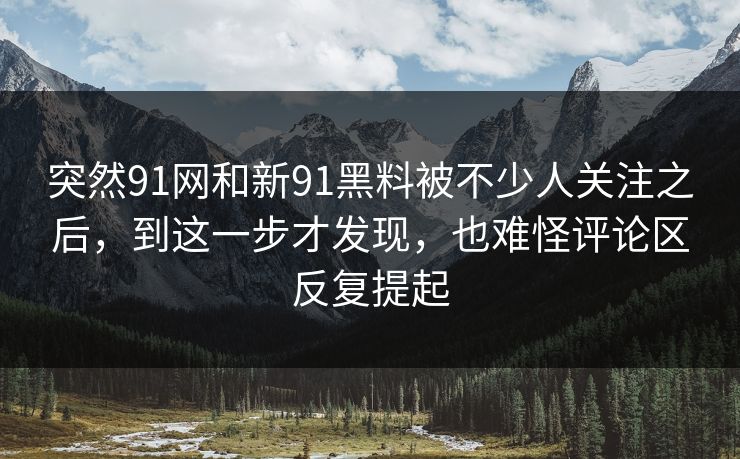 突然91网和新91黑料被不少人关注之后，到这一步才发现，也难怪评论区反复提起