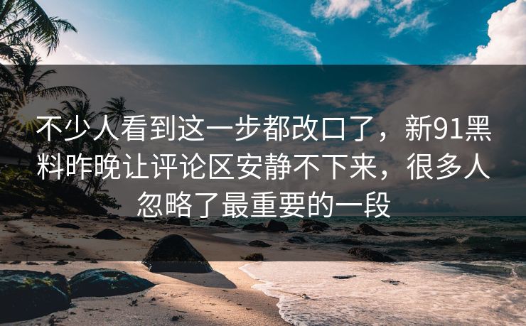 不少人看到这一步都改口了，新91黑料昨晚让评论区安静不下来，很多人忽略了最重要的一段