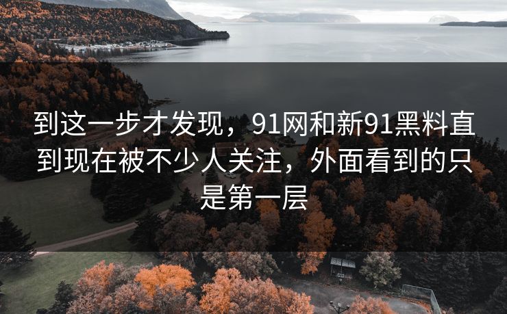 到这一步才发现，91网和新91黑料直到现在被不少人关注，外面看到的只是第一层