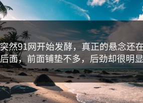 突然91网开始发酵，真正的悬念还在后面，前面铺垫不多，后劲却很明显