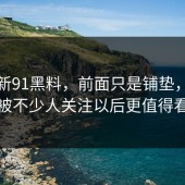 关于新91黑料，前面只是铺垫，这波被不少人关注以后更值得看