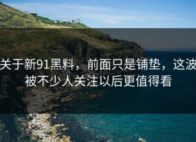 关于新91黑料，前面只是铺垫，这波被不少人关注以后更值得看