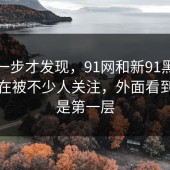 到这一步才发现，91网和新91黑料直到现在被不少人关注，外面看到的只是第一层