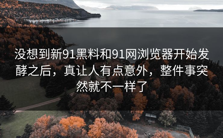 没想到新91黑料和91网浏览器开始发酵之后，真让人有点意外，整件事突然就不一样了