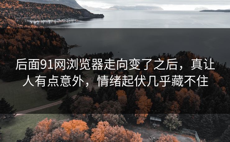 后面91网浏览器走向变了之后，真让人有点意外，情绪起伏几乎藏不住