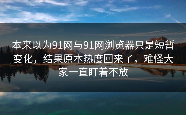 本来以为91网与91网浏览器只是短暂变化，结果原本热度回来了，难怪大家一直盯着不放